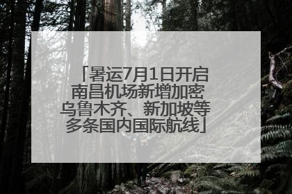 暑运7月1日开启 南昌机场新增加密乌鲁木齐、新加坡等多条国内国际航线