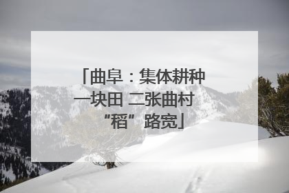 曲阜：集体耕种一块田 二张曲村“稻”路宽