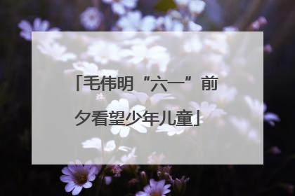 毛伟明“六一”前夕看望少年儿童