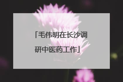 毛伟明在长沙调研中医药工作