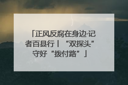 正风反腐在身边·记者百县行丨“双探头”守好“拨付路”