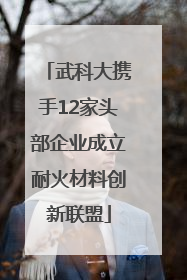武科大携手12家头部企业成立耐火材料创新联盟