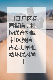 武昌区杨园街道：社校联合扮靓社区颜值 青春力量推动环保风尚