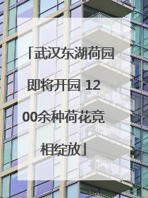 武汉东湖荷园即将开园 1200余种荷花竞相绽放