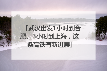 武汉出发1小时到合肥、3小时到上海，这条高铁有新进展