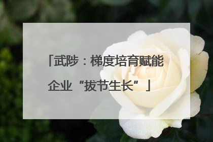 武陟：梯度培育赋能企业“拔节生长”