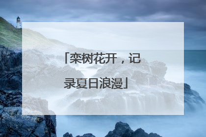 栾树花开，记录夏日浪漫