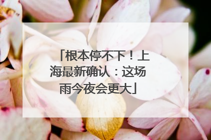 根本停不下！上海最新确认：这场雨今夜会更大