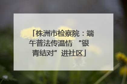 株洲市检察院：端午普法传温情 “银青结对”进社区