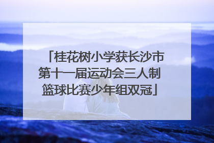 桂花树小学获长沙市第十一届运动会三人制篮球比赛少年组双冠