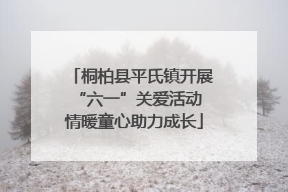桐柏县平氏镇开展“六一”关爱活动 情暖童心助力成长