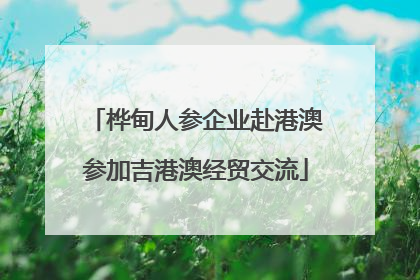 桦甸人参企业赴港澳参加吉港澳经贸交流
