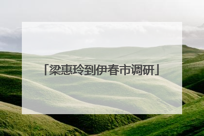梁惠玲到伊春市调研
