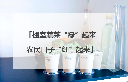 棚室蔬菜“绿”起来 农民日子“红”起来