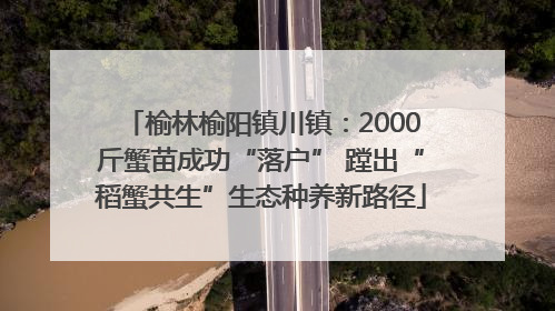 榆林榆阳镇川镇：2000斤蟹苗成功“落户” 蹚出“稻蟹共生”生态种养新路径