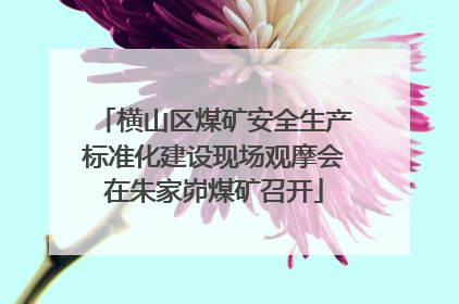 横山区煤矿安全生产标准化建设现场观摩会在朱家峁煤矿召开