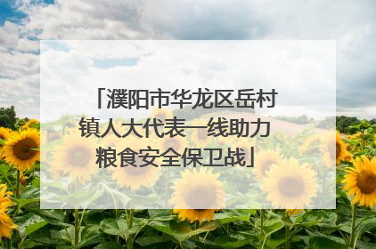 濮阳市华龙区岳村镇人大代表一线助力粮食安全保卫战