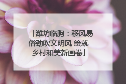 潍坊临朐：移风易俗劲吹文明风 绘就乡村和美新画卷