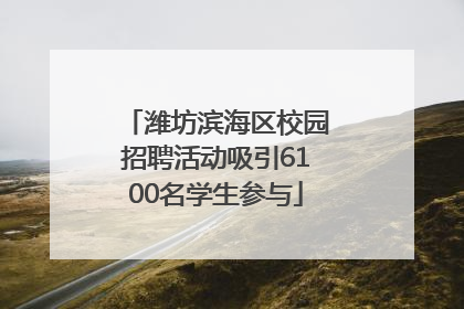 潍坊滨海区校园招聘活动吸引6100名学生参与