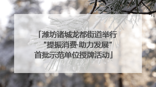 潍坊诸城龙都街道举行“提振消费·助力发展”首批示范单位授牌活动