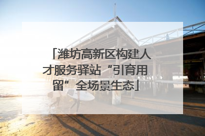 潍坊高新区构建人才服务驿站“引育用留”全场景生态
