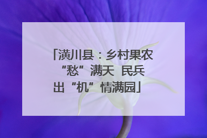 潢川县：乡村果农“愁”满天  民兵出“机”情满园
