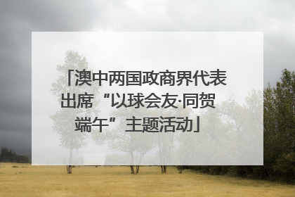 澳中两国政商界代表出席“以球会友·同贺端午”主题活动