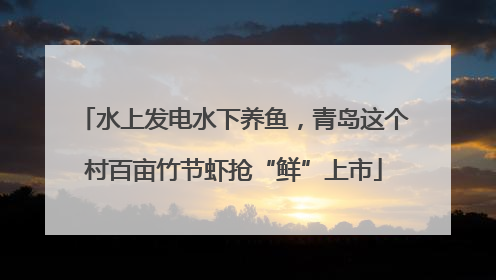 水上发电水下养鱼，青岛这个村百亩竹节虾抢“鲜”上市