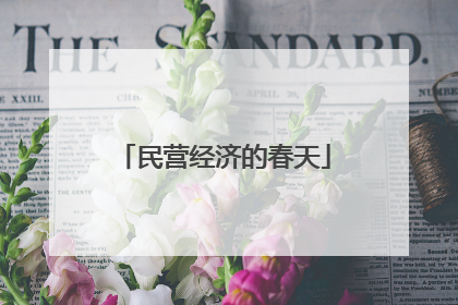 民营经济的春天