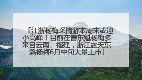 江浙杨梅采摘游本周末或迎小高峰！目前在售东魁杨梅多来自云南、福建，浙江露天东魁杨梅6月中旬大量上市