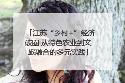 江苏“乡村+”经济破圈 从特色农业到文旅融合的多元实践