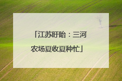 江苏盱眙：三河农场夏收夏种忙