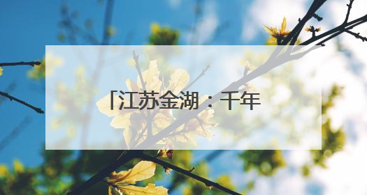 江苏金湖：千年藕香飘万里 荷韵悠悠引客来