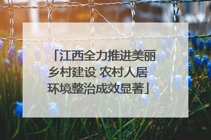 江西全力推进美丽乡村建设 农村人居环境整治成效显著