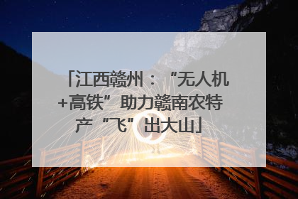 江西赣州：“无人机+高铁”助力赣南农特产“飞”出大山