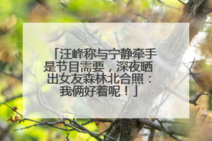 汪峰称与宁静牵手是节目需要，深夜晒出女友森林北合照：我俩好着呢！