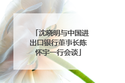 沈晓明与中国进出口银行董事长陈怀宇一行会谈