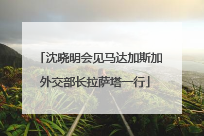 沈晓明会见马达加斯加外交部长拉萨塔一行