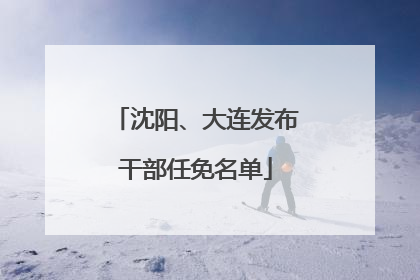 沈阳、大连发布干部任免名单