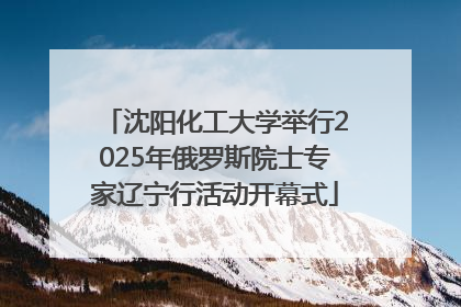 沈阳化工大学举行2025年俄罗斯院士专家辽宁行活动开幕式