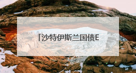 沙特伊斯兰国债ETF在港上市 两地资本市场互动频密
