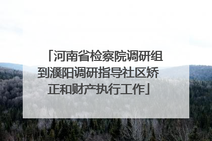 河南省检察院调研组到濮阳调研指导社区矫正和财产执行工作
