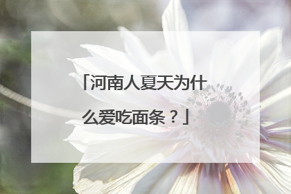 河南人夏天为什么爱吃面条？