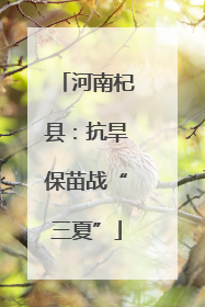 河南杞县：抗旱保苗战“三夏”