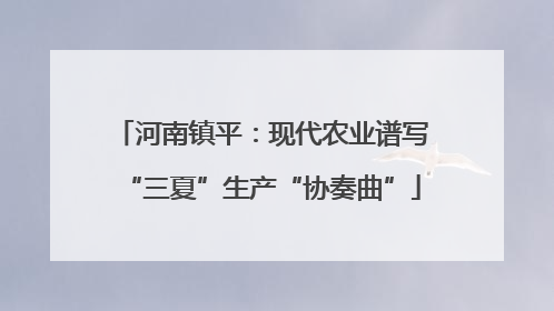 河南镇平：现代农业谱写“三夏”生产“协奏曲”