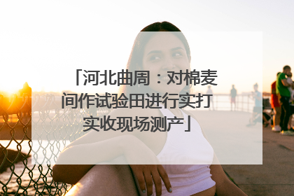 河北曲周：对棉麦间作试验田进行实打实收现场测产