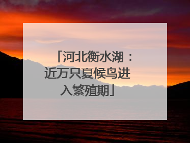 河北衡水湖：近万只夏候鸟进入繁殖期