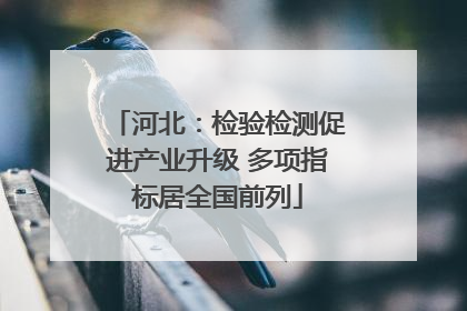 河北：检验检测促进产业升级 多项指标居全国前列