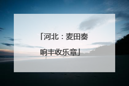 河北：麦田奏响丰收乐章