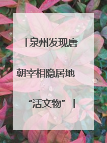 泉州发现唐朝宰相隐居地“活文物”